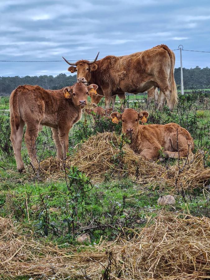 Herdade Da Vagem Rogil Bagian luar foto