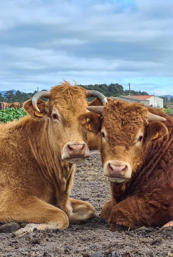Herdade Da Vagem Rogil Bagian luar foto