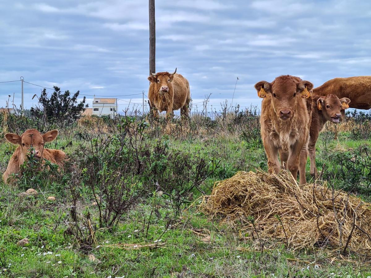 Herdade Da Vagem Rogil Bagian luar foto